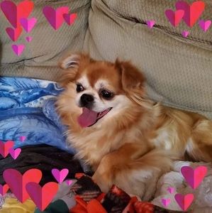 Meet your Posher, Laura